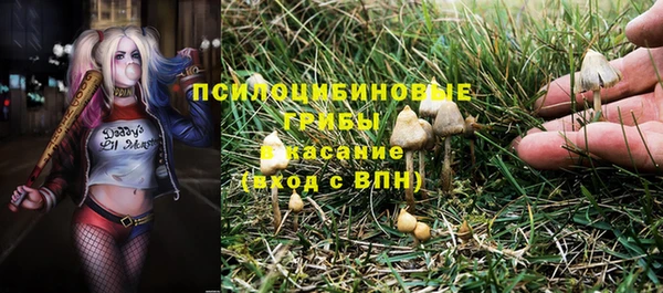 spice Зерноград