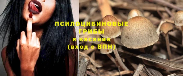 apvp Зеленодольск