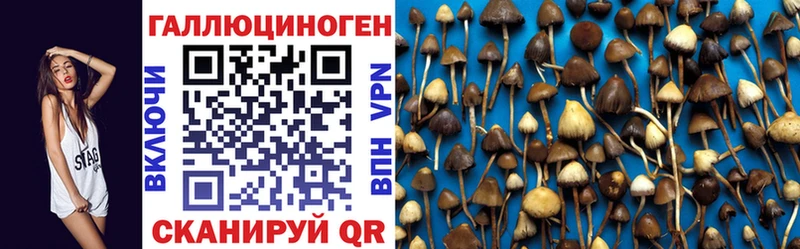 Купить где  Бежецк  Псилоцибиновые грибы MAGIC MUSHROOMS 